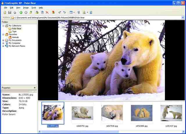 Firegraphic XP(����ͼ���������)����